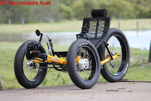 MagnumFat1 recumbent trike
